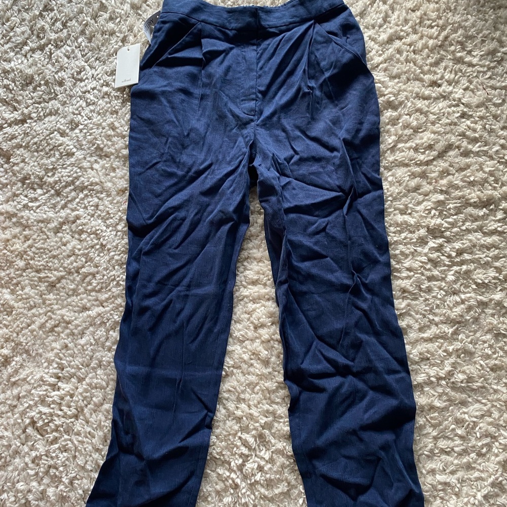 Linen Blue Aritzia Trousers